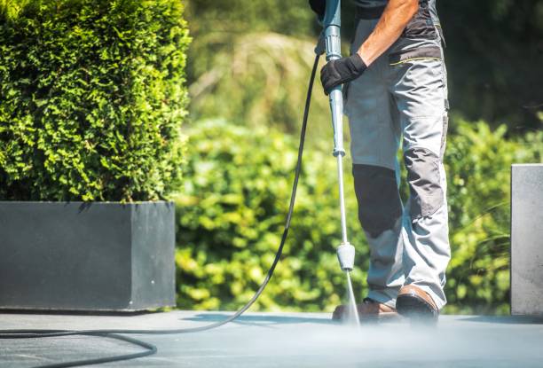 Best Patio and Deck Pressure Washing  in USA